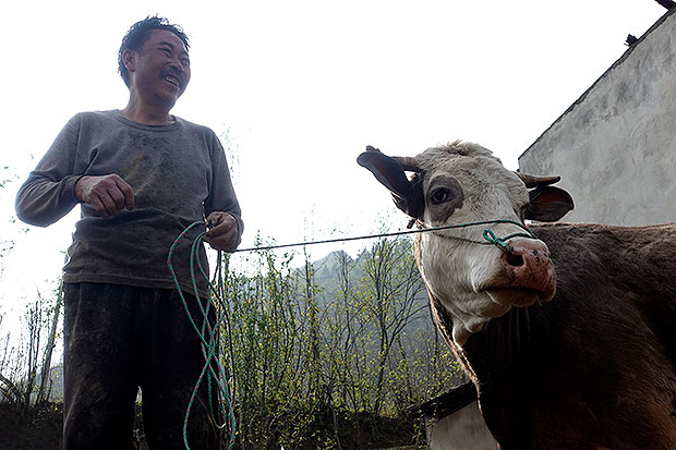 探寻茶马古道 以脚步丈量世界