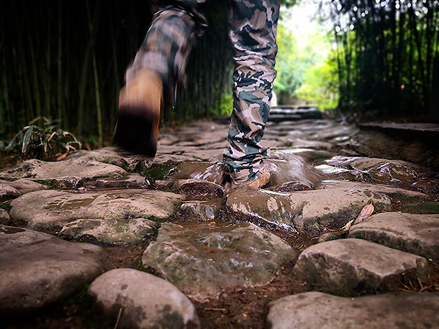 探寻茶马古道 以脚步丈量世界