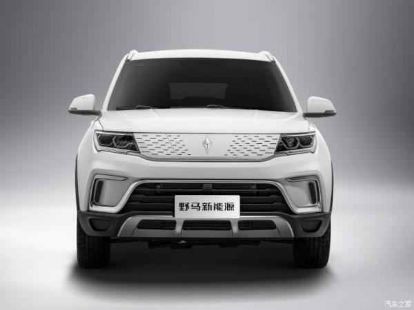 野马汽车 野马EC60 2020款 基本型