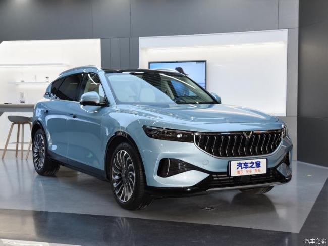 岚图汽车 岚图FREE 2021款 纯电版试装车